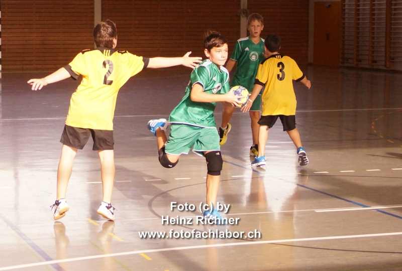 3110071 hvo_2.jpg